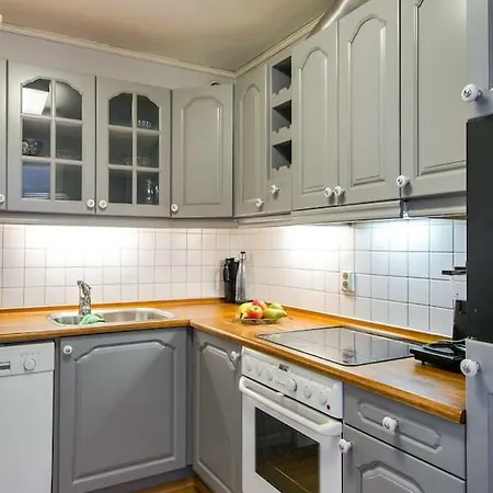 アパート Big 1br Very Central Apt With Balcony! オスロ